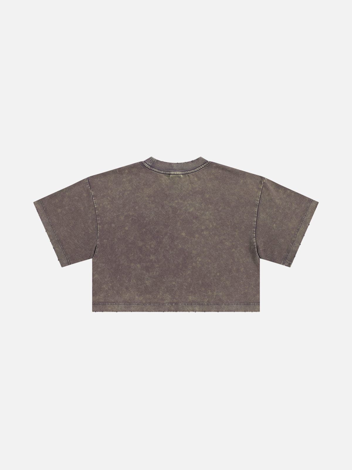 Aelfric Eden Washed Cropped Rock Print Tee