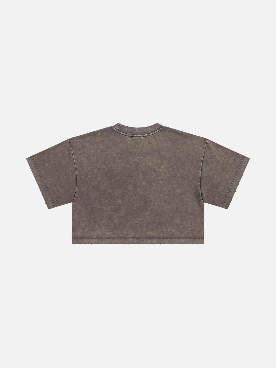 Aelfric Eden Washed Cropped Rock Print Tee
